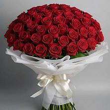 Букет 101 Красная роза Блэк Мэджик в Зуевке