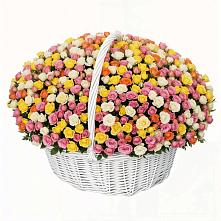 Премиум букет из: Розы в Зуевке