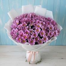 Букет цветов из:  Хризантемы в Зуевке