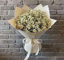 Букет цветов из:  Ромашки #REPLACE_PRED# Зуевке