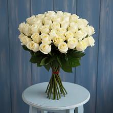 Букет 51 Белая роза Эдлесс Лав #REPLACE_PRED# Зуевке