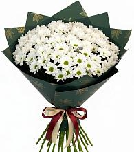 Букет цветов из:  Хризантемы в Зуевке