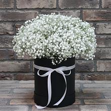 Цветочная композиция из Гипсофила в шляпной коробке #REPLACE_PRED# Зуевке