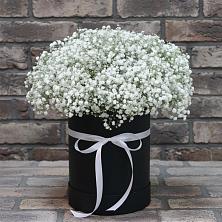 Цветочная композиция из Гипсофила в шляпной коробке в Зуевке