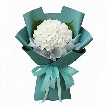Букет цветов из:  Гортензия в Зуевке